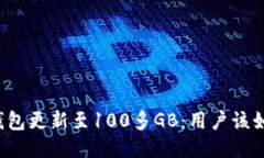 比特币钱包更新至100多G