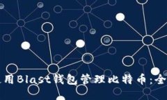 如何使用Blast钱包管理比特