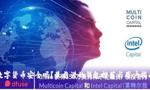 数字货币安全吗？最靠谱的钱包推荐与用户指南