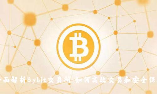 全面解析Bybit交易所：如何高效交易和安全保障