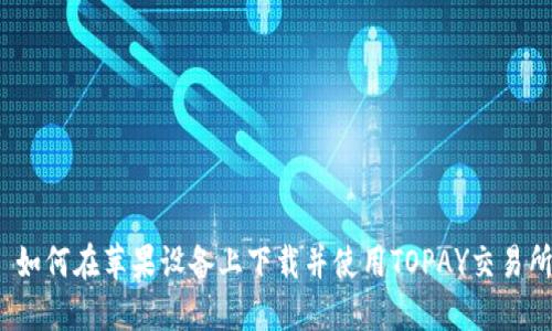  如何在苹果设备上下载并使用TOPAY交易所