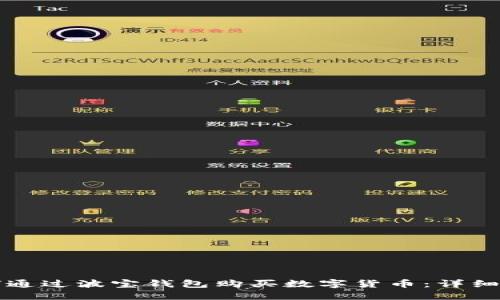 如何通过波宝钱包购买数字货币：详细指南
