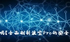 波宝Pro安全吗？全面剖析