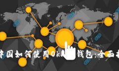 在中国如何使用OkPay钱包：