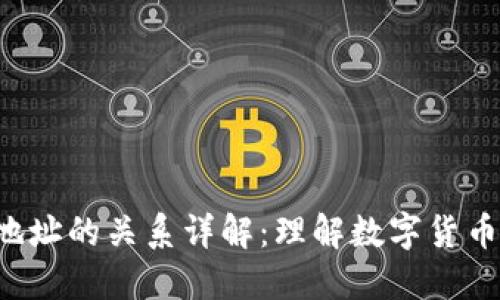 LTC钱包与地址的关系详解：理解数字货币管理的基础