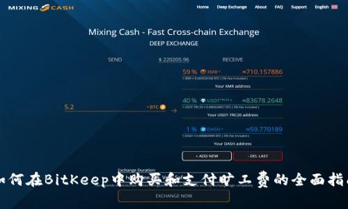 如何在BitKeep中购买和支付旷工费的全面指南