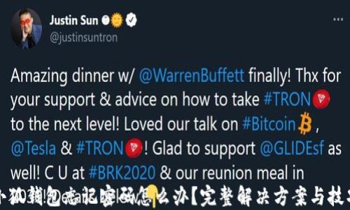 
小狐钱包忘记密码怎么办？完整解决方案与技巧