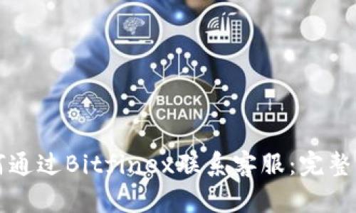 如何通过Bitfinex联系客服：完整指南