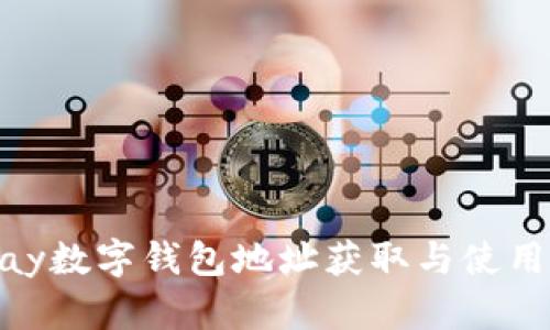 OKPay数字钱包地址获取与使用指南
