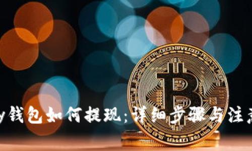 OKPay钱包如何提现：详细步骤与注意事项