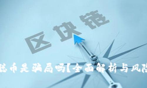 中本聪币是骗局吗？全面解析与风险评估