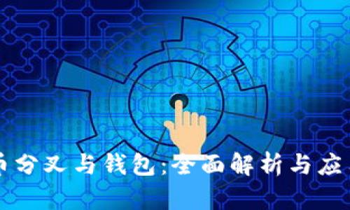 比特币分叉与钱包：全面解析与应用指南