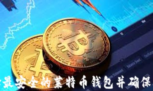 
如何选择最安全的莱特币钱包并确保联网安全