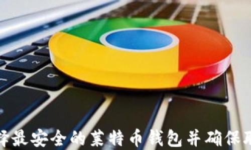 
如何选择最安全的莱特币钱包并确保联网安全