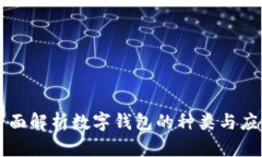 全面解析数字钱包的种类