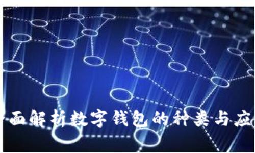 全面解析数字钱包的种类与应用