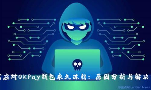 如何应对OKPay钱包永久冻结: 原因分析与解决方案