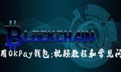 如何使用OKPay钱包：视频教