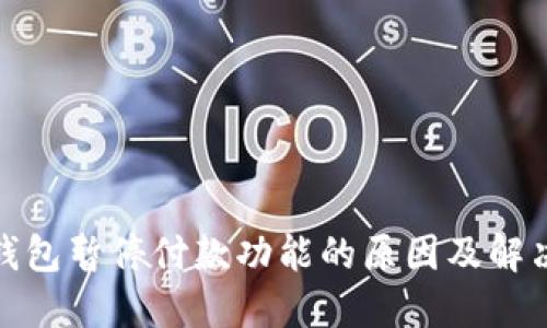 数字钱包暂停付款功能的原因及解决方案