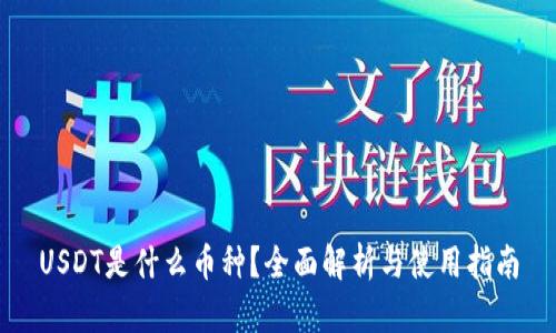 USDT是什么币种？全面解析与使用指南