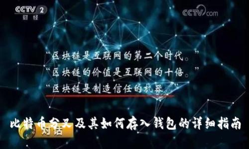 比特币分叉及其如何存入钱包的详细指南