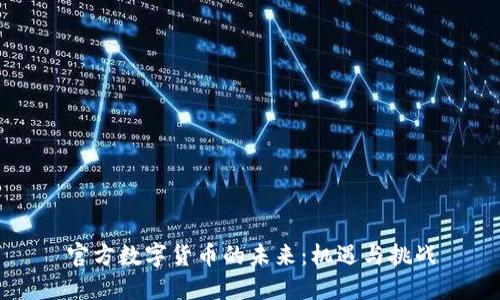 官方数字货币的未来：机遇与挑战