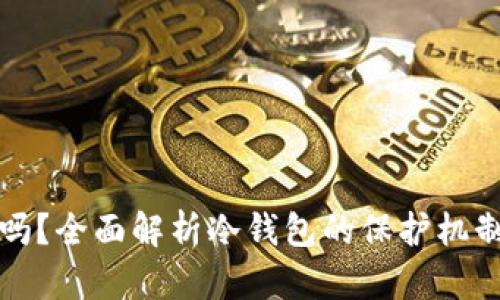 冷钱包安全吗？全面解析冷钱包的保护机制和使用技巧