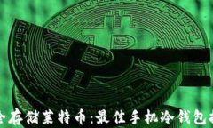 安全存储莱特币：最佳手