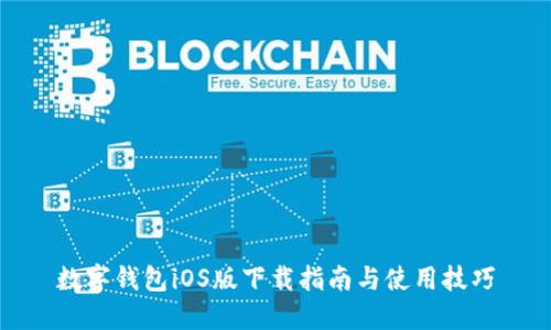 数字钱包iOS版下载指南与使用技巧