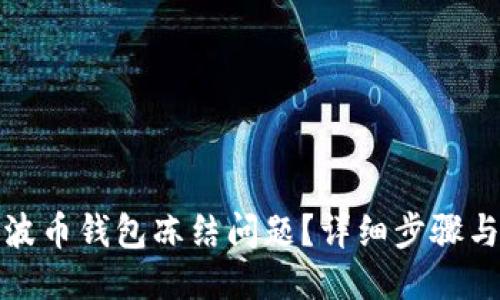 ```xml
如何解决波币钱包冻结问题？详细步骤与常见问答