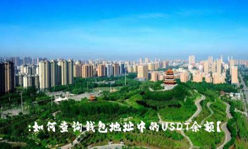 :如何查询钱包地址中的USDT余额？