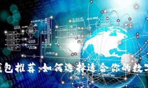 XRP中文钱包推荐：如何选择适合你的数字货币钱包