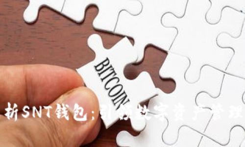 全面解析SNT钱包：引领数字资产管理新时代