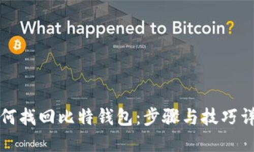 如何找回比特钱包：步骤与技巧详解