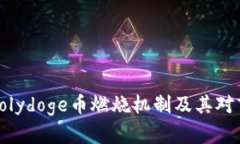 深入解析Polydoge币燃烧机制