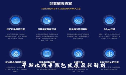 早期比特币钱包发展历程解析
