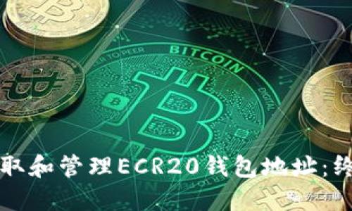 如何获取和管理ECR20钱包地址：终极指南