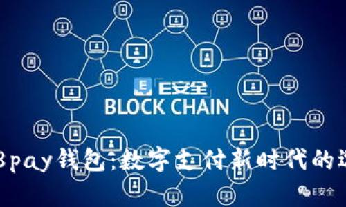 808pay钱包：数字支付新时代的选择