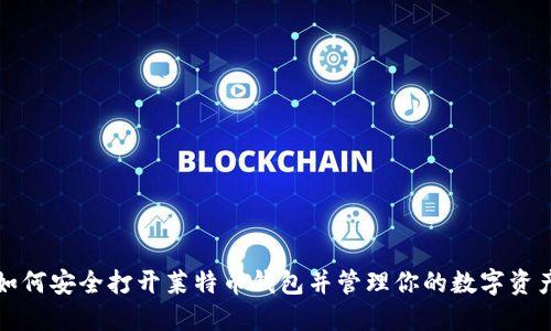 如何安全打开莱特币钱包并管理你的数字资产