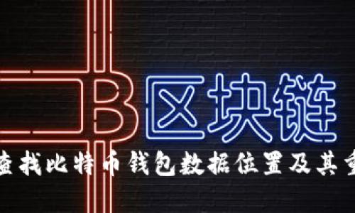如何查找比特币钱包数据位置及其重要性