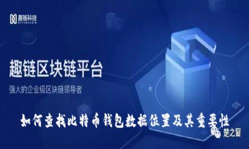 如何查找比特币钱包数据位置及其重要性