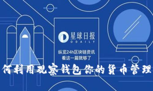 : 如何利用观察钱包你的货币管理策略