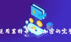 安全使用莱特币钱包加密