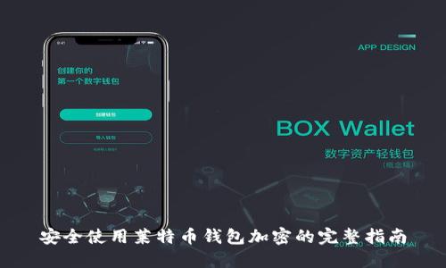 安全使用莱特币钱包加密的完整指南